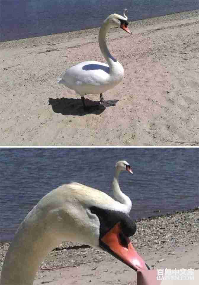 ���ʱ�Ц����Ц����ȫ