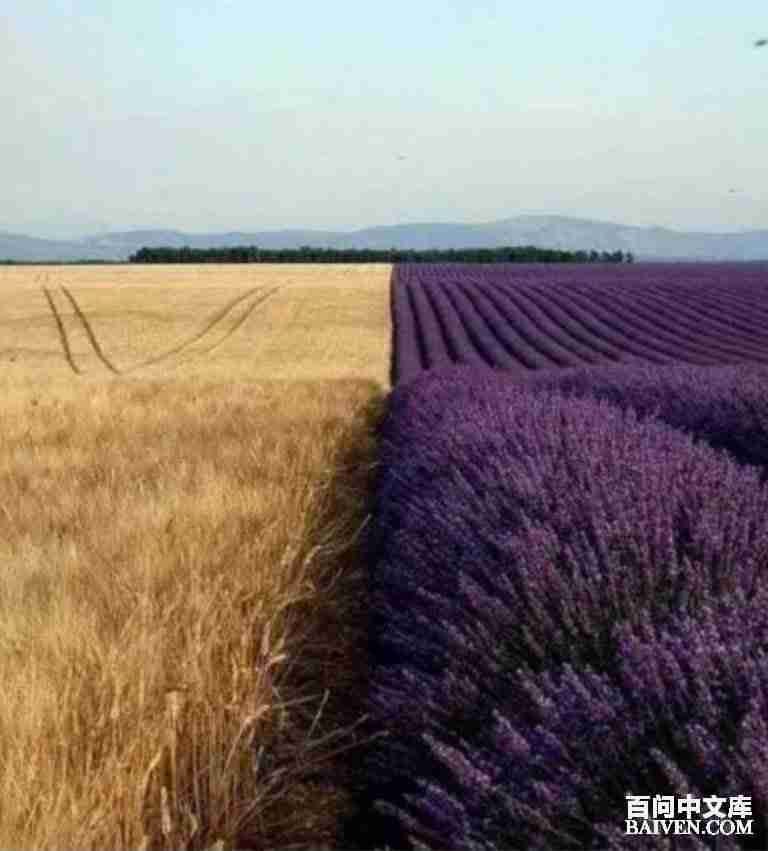 百问爆笑经典笑话大全