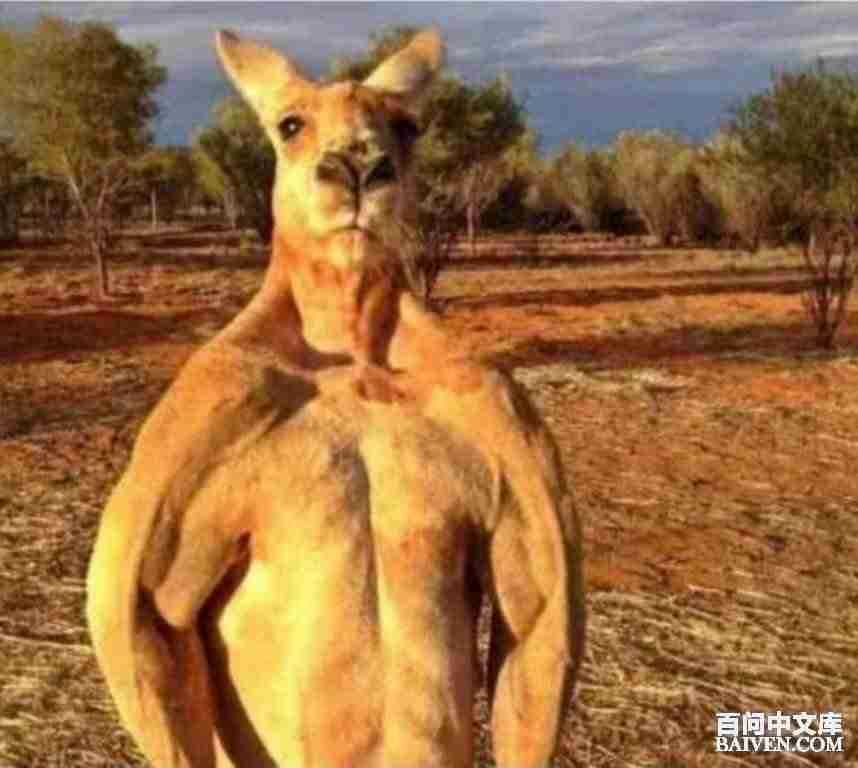 百问爆笑经典笑话大全