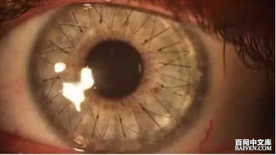 ���ʱ�Ц����Ц����ȫ