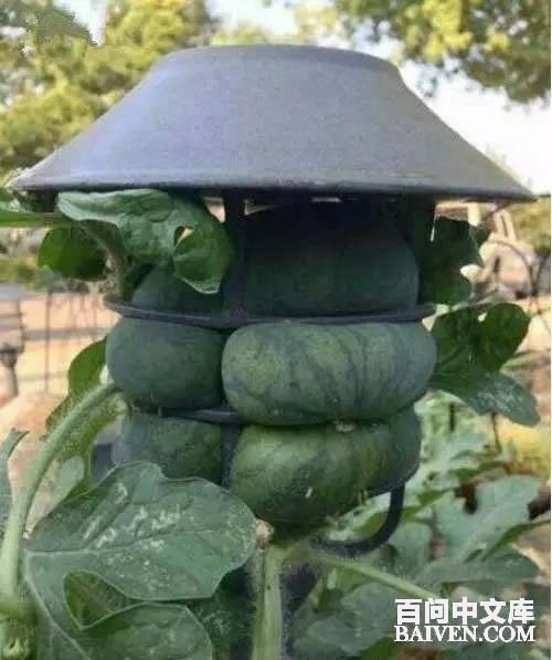 百问爆笑经典笑话大全