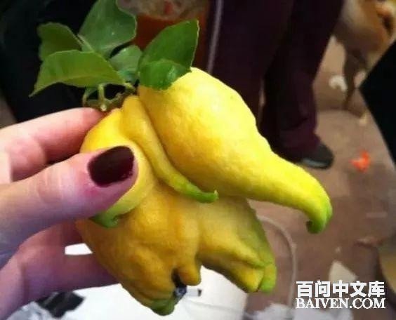 百问爆笑经典笑话大全