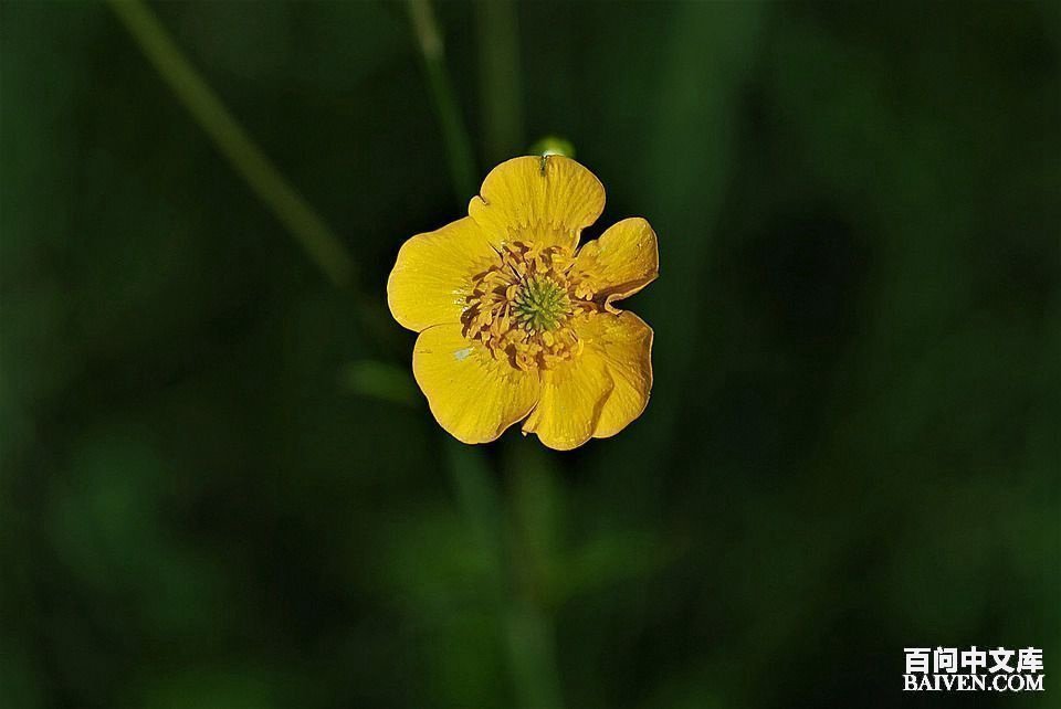 ���ʱ�Ц����Ц����ȫ