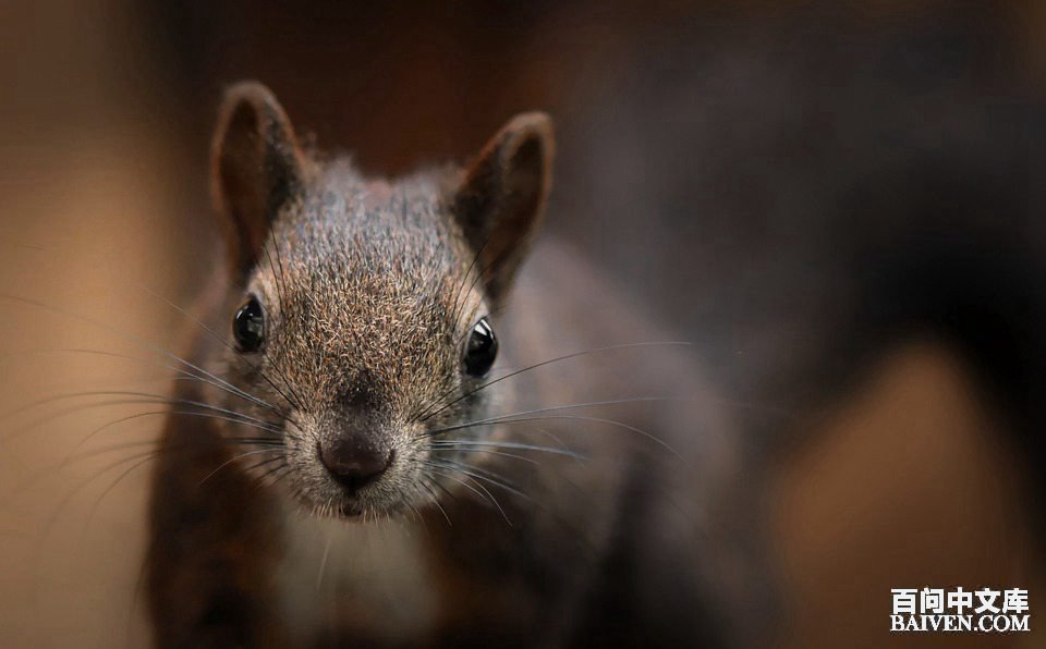 百问爆笑经典笑话大全