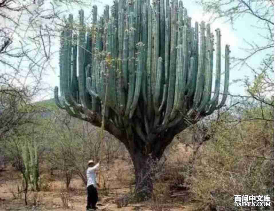 ���ʱ�Ц����Ц����ȫ