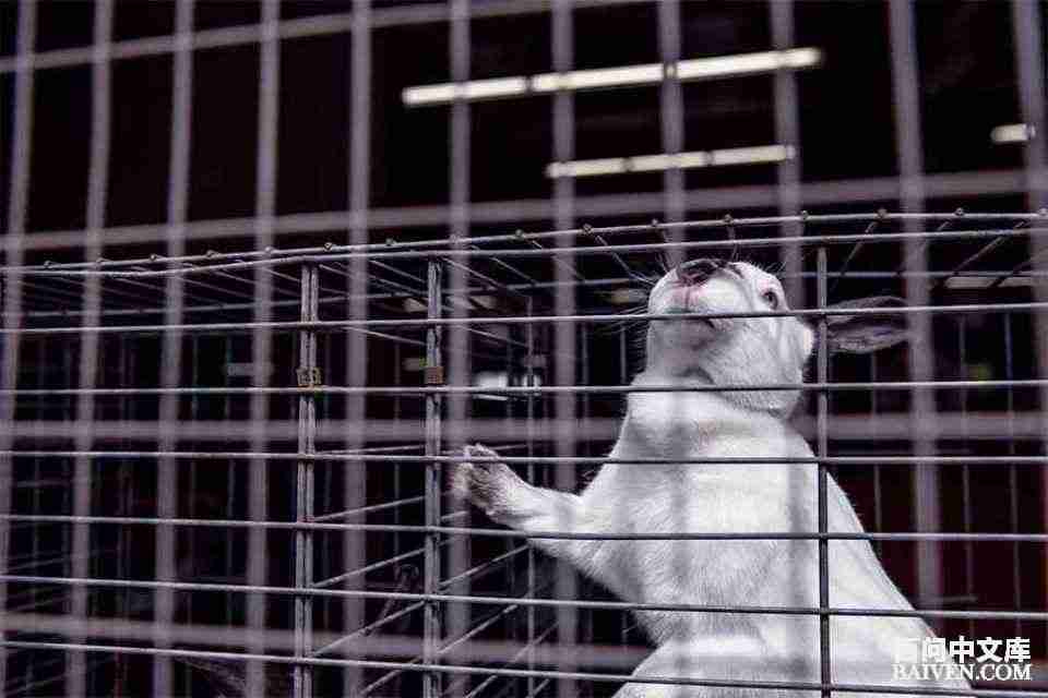 百问爆笑经典笑话大全