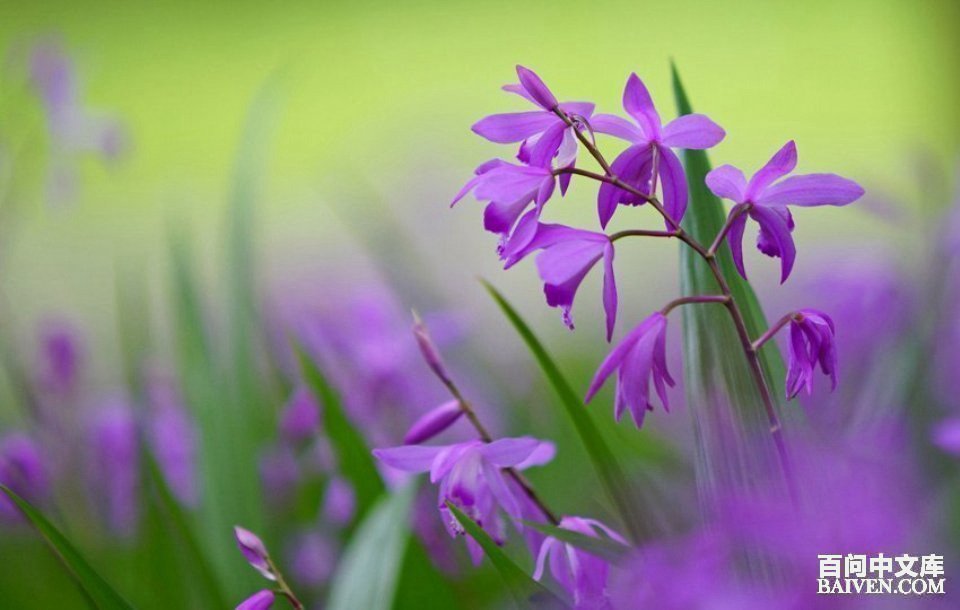 ���ʱ�Ц����Ц����ȫ