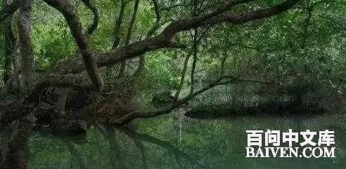 ���ʱ�Ц����Ц����ȫ