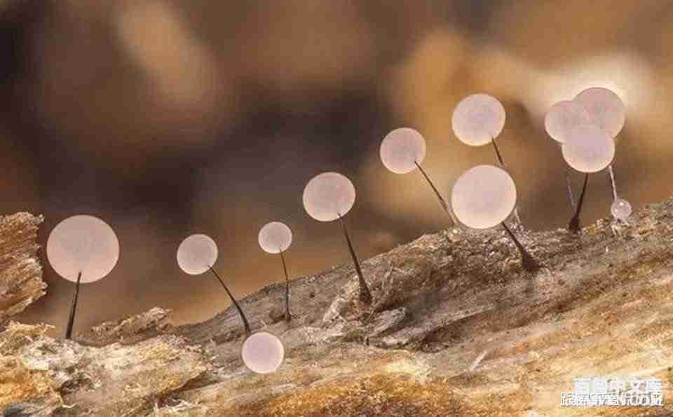 ���ʱ�Ц����Ц����ȫ