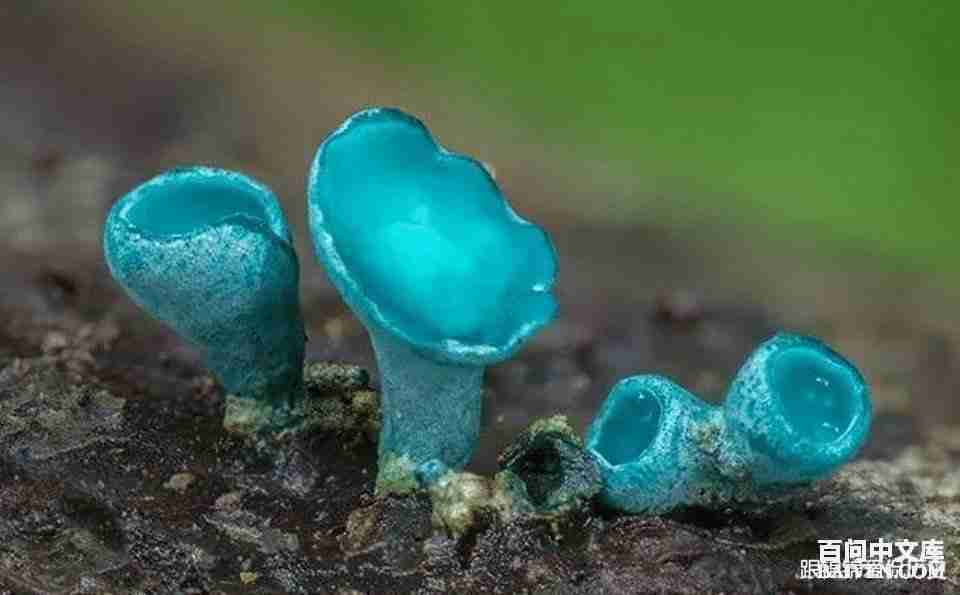 ���ʱ�Ц����Ц����ȫ