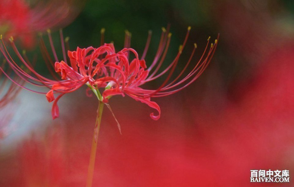 百问爆笑经典笑话大全