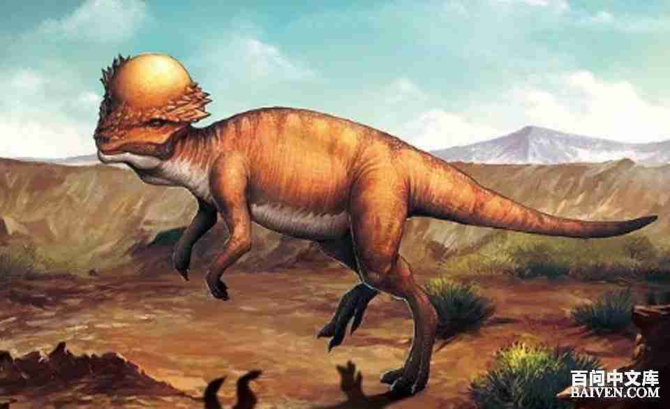 ���ʱ�Ц����Ц����ȫ