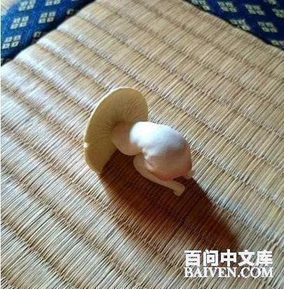 百问爆笑经典笑话大全