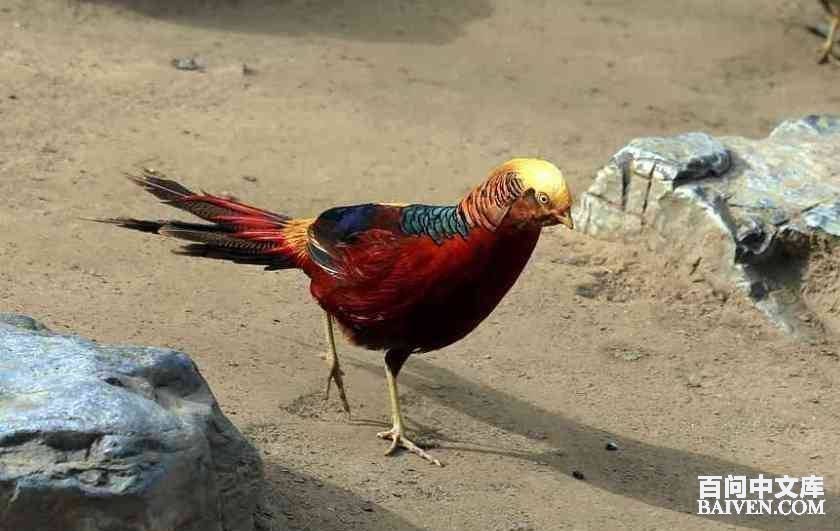 ���ʱ�Ц����Ц����ȫ