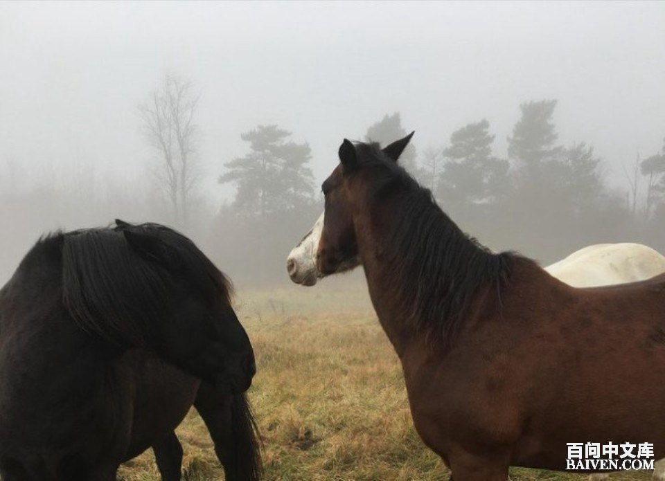 ���ʱ�Ц����Ц����ȫ