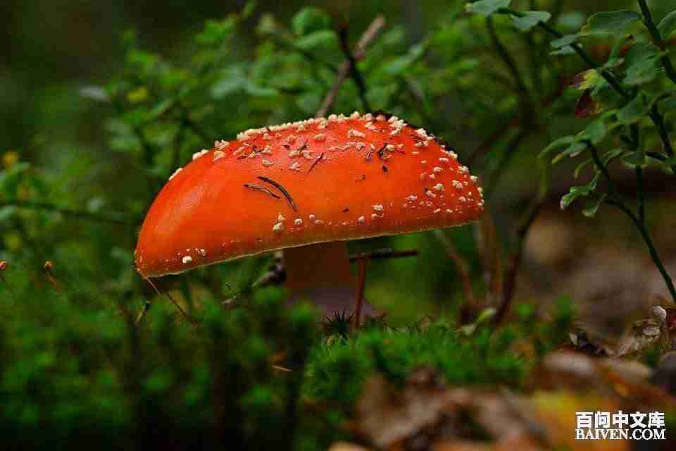 ���ʱ�Ц����Ц����ȫ