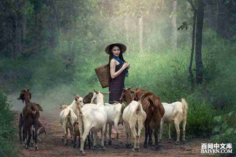 ���ʱ�Ц����Ц����ȫ