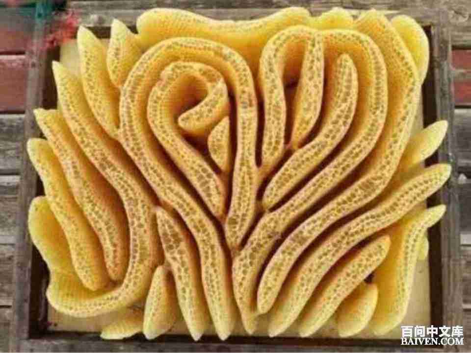 ���ʱ�Ц����Ц����ȫ