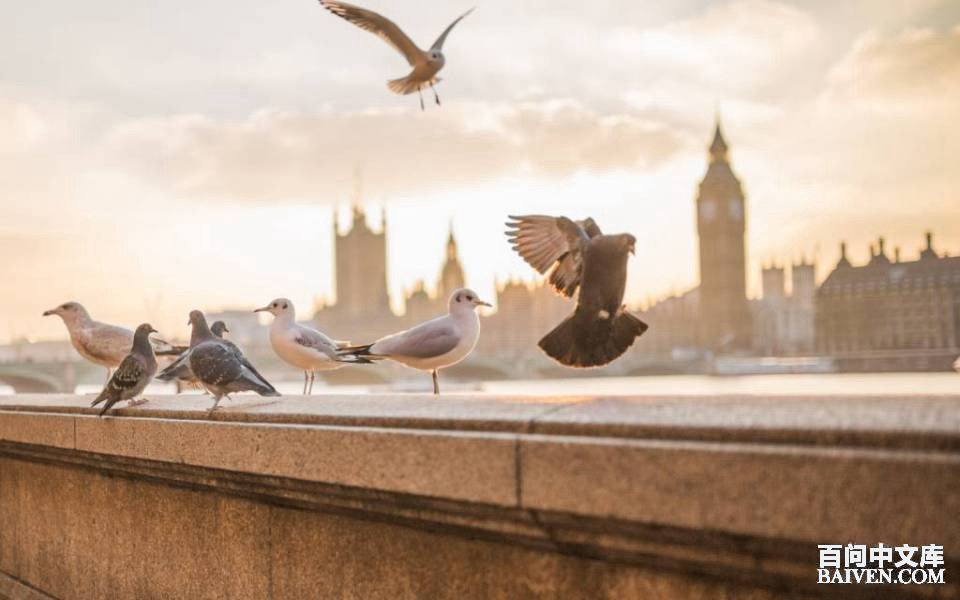 ���ʱ�Ц����Ц����ȫ