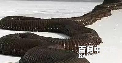 百问爆笑经典笑话大全