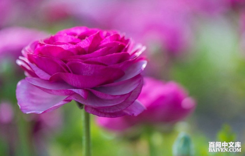 ���ʱ�Ц����Ц����ȫ