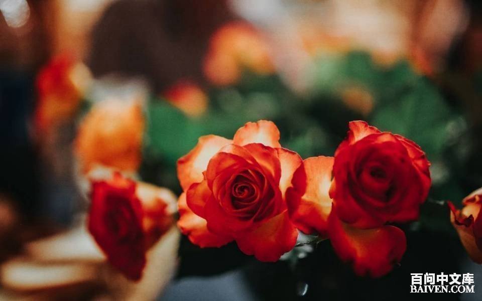 百问爆笑经典笑话大全