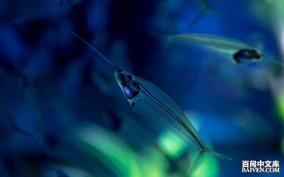 ���ʱ�Ц����Ц����ȫ