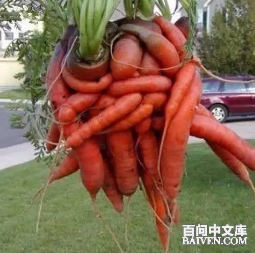 百问爆笑经典笑话大全