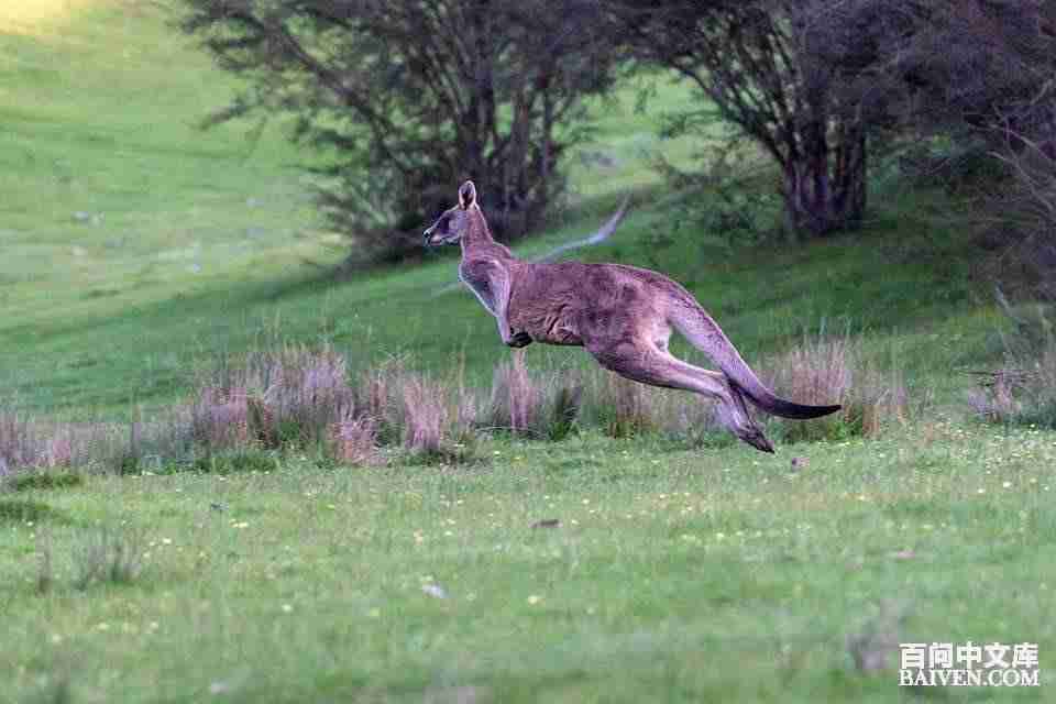 ���ʱ�Ц����Ц����ȫ