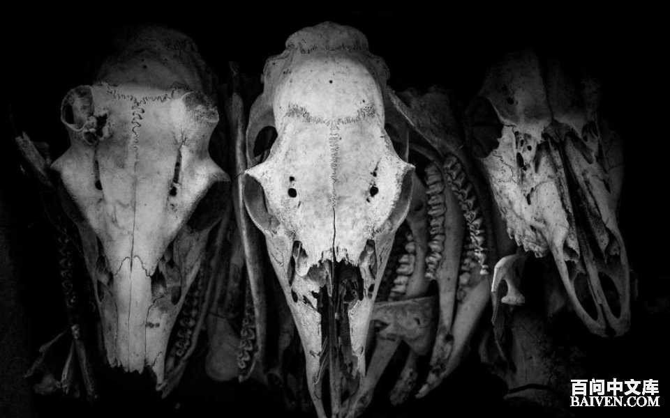 ���ʱ�Ц����Ц����ȫ