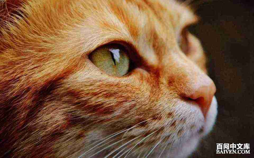 ���ʱ�Ц����Ц����ȫ