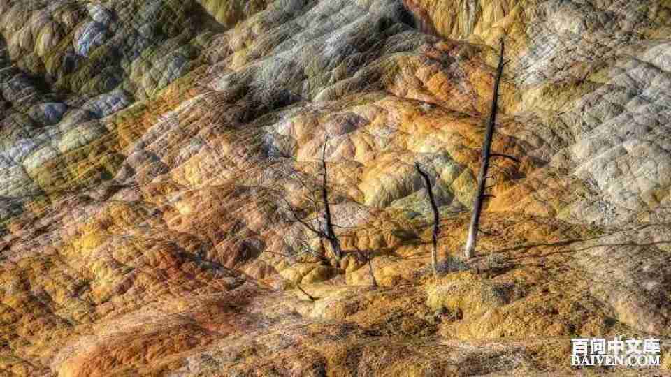 百问爆笑经典笑话大全