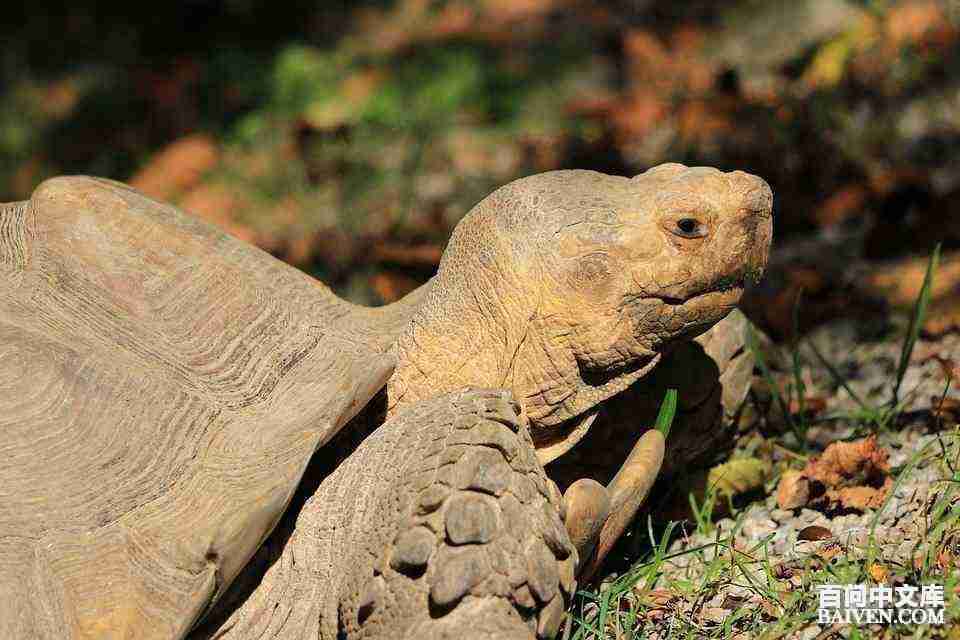 ���ʱ�Ц����Ц����ȫ