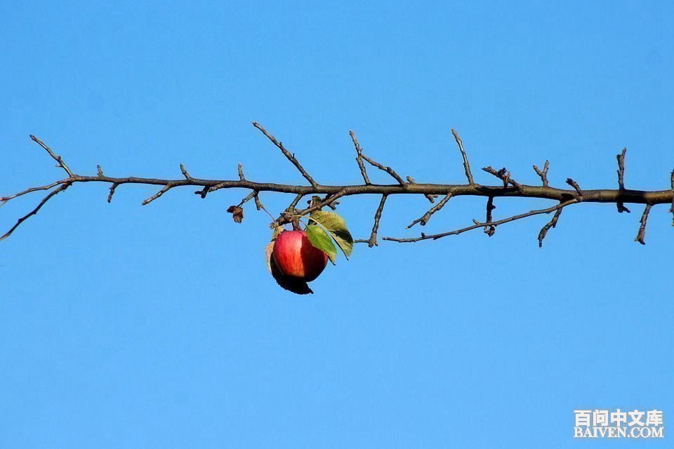 百问爆笑经典笑话大全