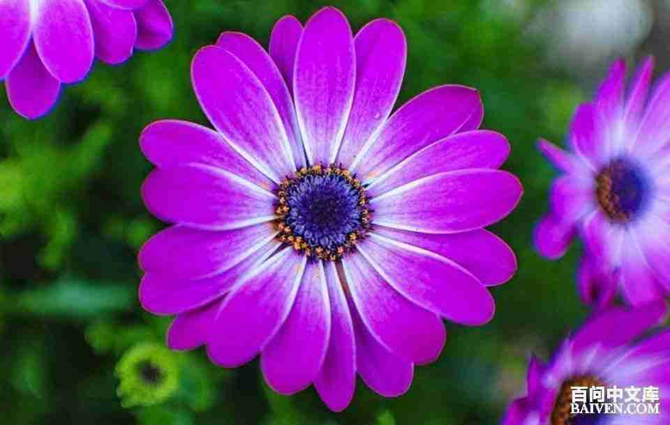 ���ʱ�Ц����Ц����ȫ