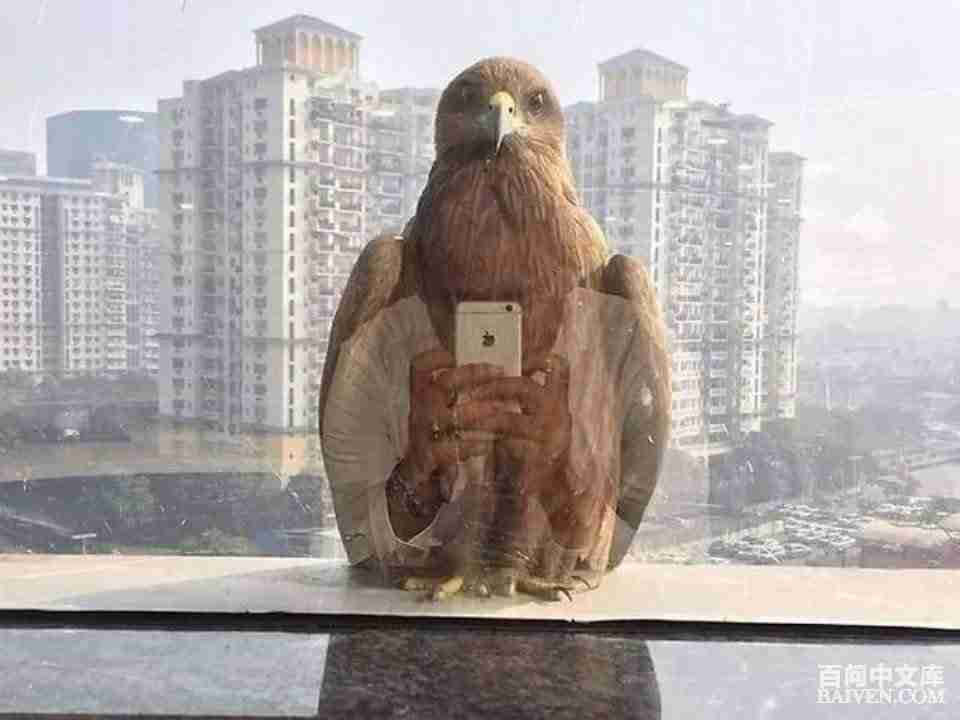 ���ʱ�Ц����Ц����ȫ