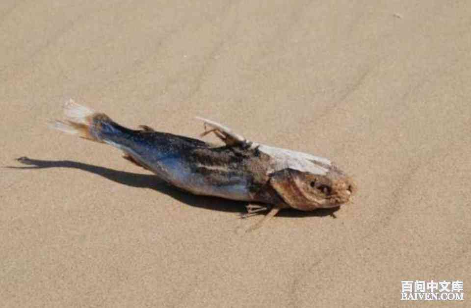 ���ʱ�Ц����Ц����ȫ