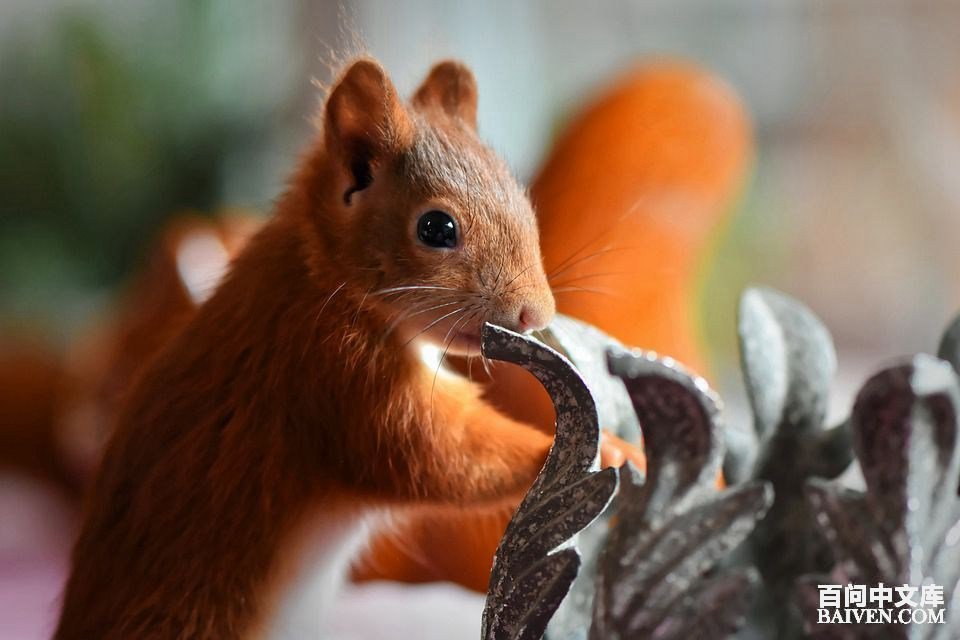 百问爆笑经典笑话大全