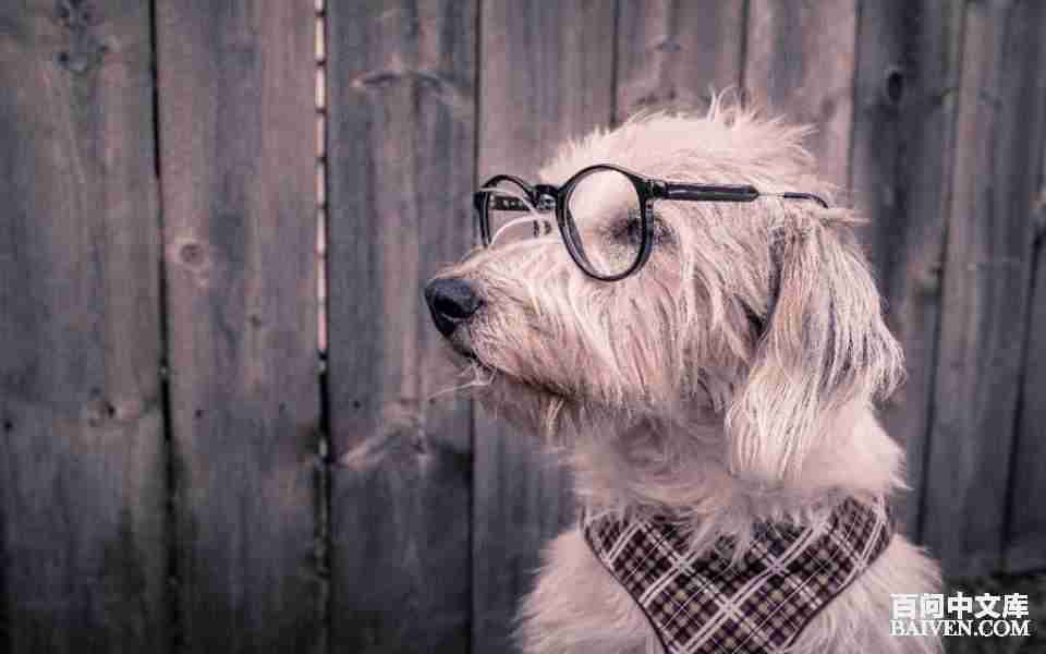 百问爆笑经典笑话大全