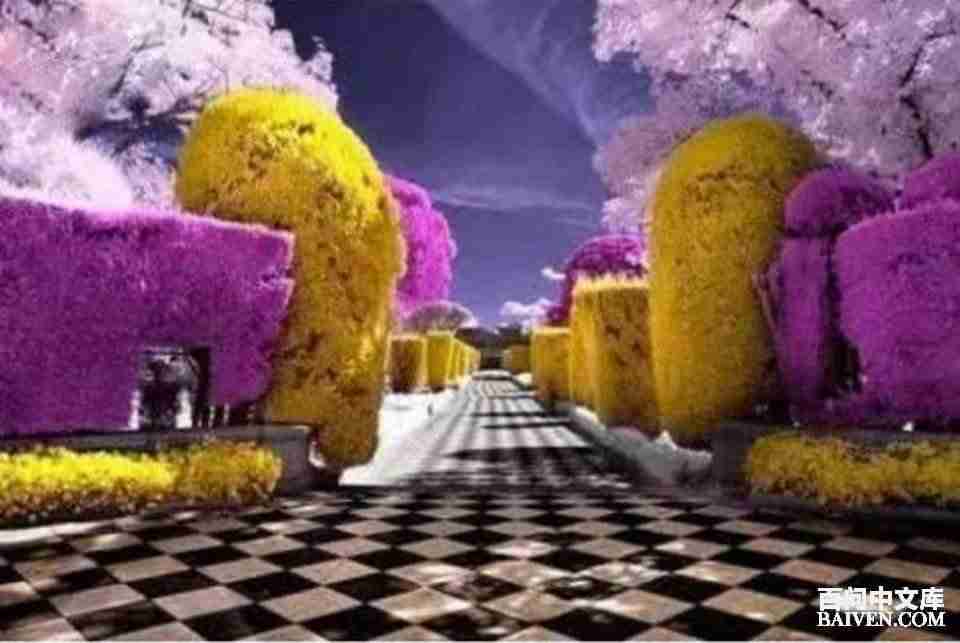 ���ʱ�Ц����Ц����ȫ