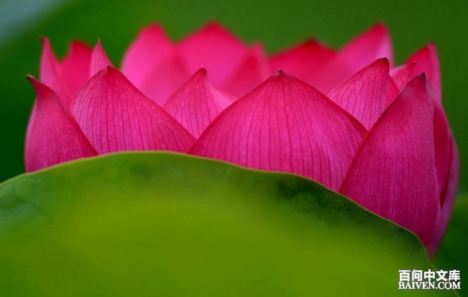 百问爆笑经典笑话大全