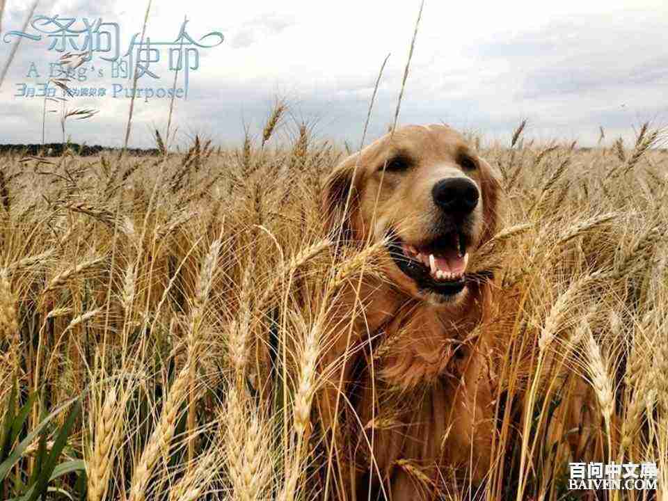 ���ʱ�Ц����Ц����ȫ