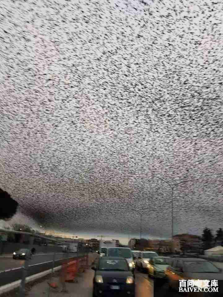 ���ʱ�Ц����Ц����ȫ