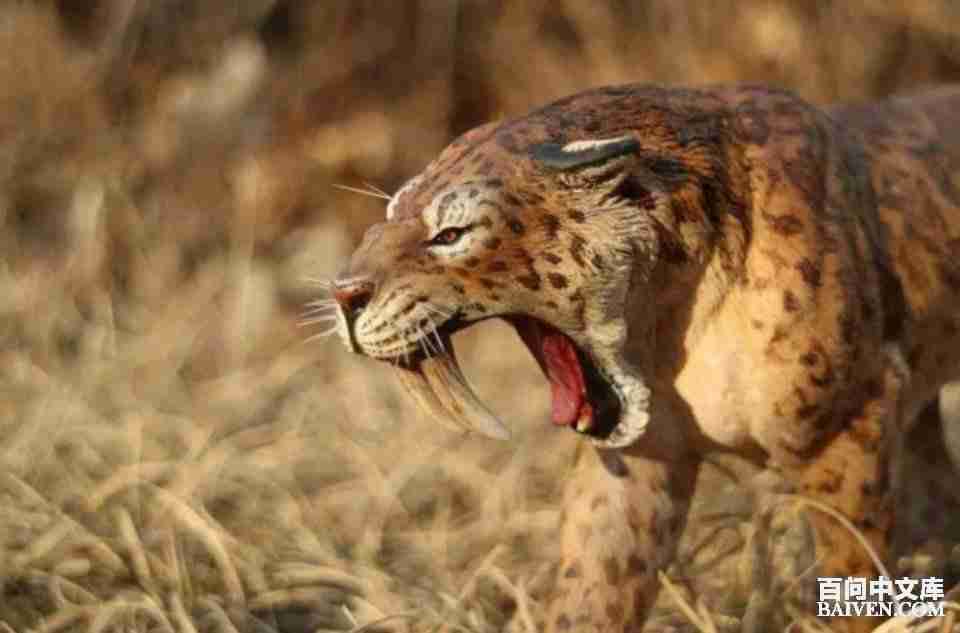 °ÙÎʱ¬Ð¦¾µäЦ»°´óÈ«