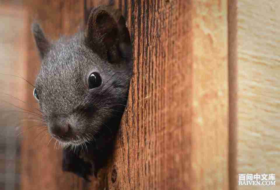 百问爆笑经典笑话大全