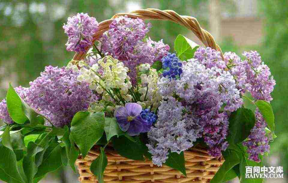 ���ʱ�Ц����Ц����ȫ