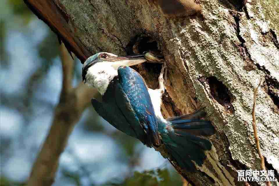 ���ʱ�Ц����Ц����ȫ