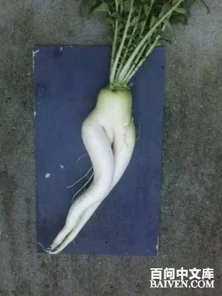 ���ʱ�Ц����Ц����ȫ