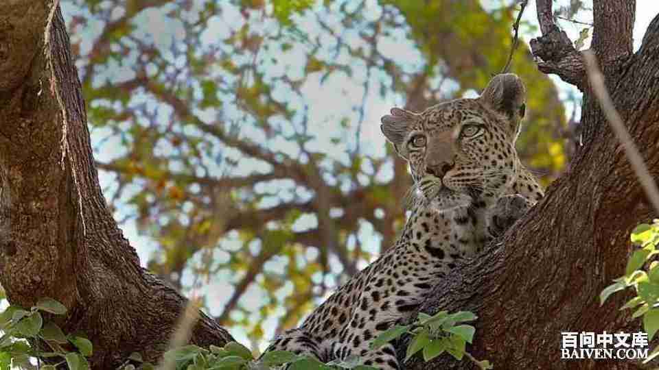 ���ʱ�Ц����Ц����ȫ