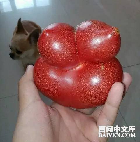 ���ʱ�Ц����Ц����ȫ